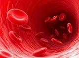 血浆动力学检测