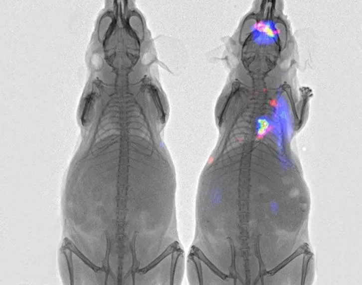 Imaging services