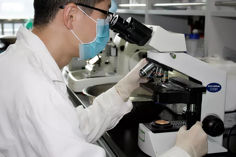 Histopathology experiment